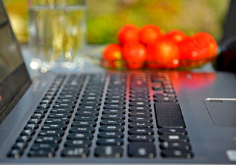 home office w ogrodzie, praca przy komputerze w ogrodzie, laptop. truskawki i woda na stoliku w ogrodzie w słonecnzy dzień, home office in the garden, laptop, strawberries and water on a table	