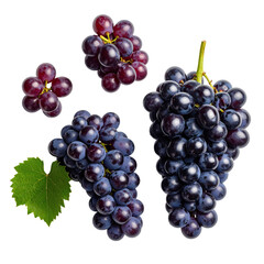Fototapeta premium Close-up of four grape clusters, various sizes & hues, against black background