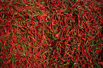 Freshly picked red chili peppers stacked in a local wholesale market, glowing with natural color and spice. Perfect for themes of organic farming, agriculture, harvest, and healthy food