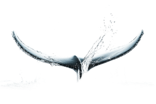 Stunning whale tail water splash illustration on transparent background - Powered by Adobe