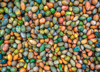 Freshly harvested colorful squash, gourds, pumpkins spread across a local wholesale market floor. Natural, organic vegetables glowing with freshness and earthy vibes. Healthy living visuals for farm