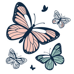 Soft Pink Butterfly Illustration