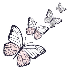 White Butterfly on Green Background