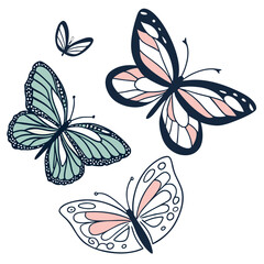 Colorful Butterflies in Motion