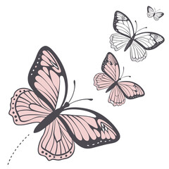 Minimal Butterfly Outline Illustration