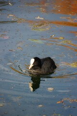 Lago di posta fibreno