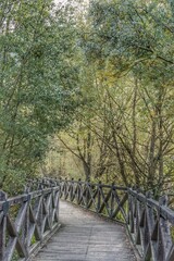 Fototapeta premium Lago di posta fibreno