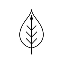 Simple outline drawing of a leaf with vein details on transparent background