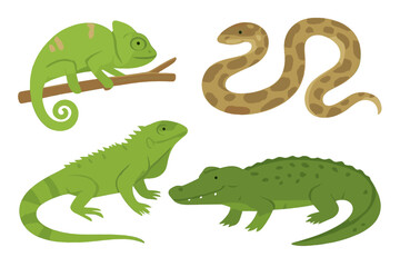 Obraz premium Cute cartoon reptiles jungle creatures diverse set