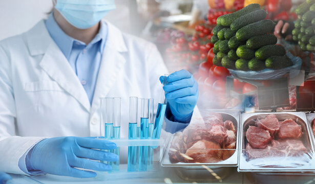 Laboratory food analysis. Expert taking test tube, multiple exposure with vegetables and meat