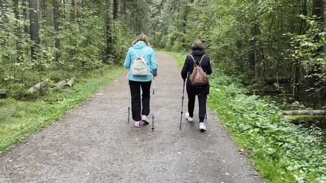 Two women hiking in the forest with walking sticks