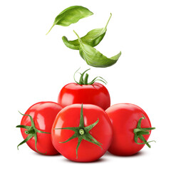 Fresh tomatoes and falling basil leaves isolated on white