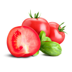 Fresh tomatoes and basil isolated on white
