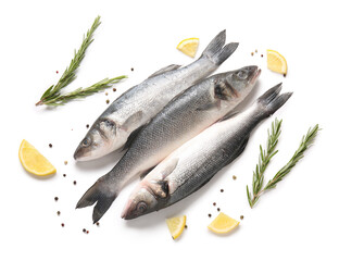 Fresh seabass fish, rosemary twigs and pieces of lemon isolated on white background, closeup