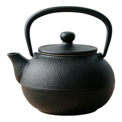 Elegant Cast Iron Teapot for Brewing Tea in Traditional Style