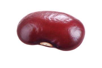 plum isolated on white background