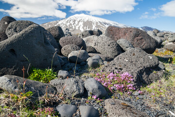 landscape on snaefellsnes peninsula with snaefellsjokull in background