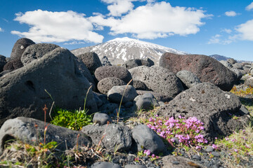 landscape on snaefellsnes peninsula with snaefellsjokull in background