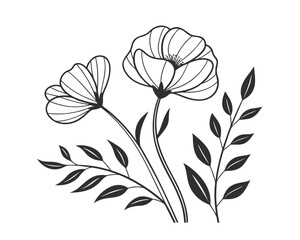 Elegant Floral Line Art Illustration of Two Flowers with Branches and Leaves for Creative Designs and Projects