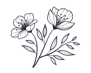 Elegant Floral Line Art Illustration of Blooming Flowers with Delicate Leaves on a White Background