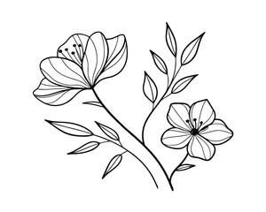 Elegant Floral Branch Line Art Illustration with Blooming Flowers and Delicate Leaves on White Background for Creative Designs