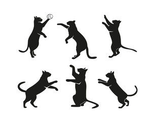 Black Cat Silhouettes Collection Various Poses Playful Feline Expressions Vector Illustration for Pet Lovers and Graphic Design Projects