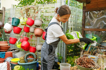 A skilled and passionate gardener tends to vibrant plants while sorting various pots in their...