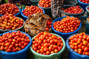 Vibrant red tomatoes in blue basins at a bustling African outdoor food market