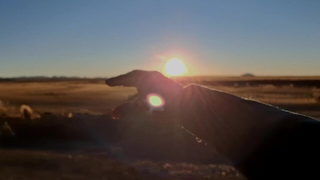 Mano al viento desde la ventana del auto: sensaci&oacute;n de libertad y paz. Carretera Dorada al Sol.Estilo de Vida Libre y Aventurero