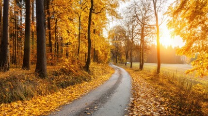 Obraz premium Autumn leaves falling scenic road nature photography rural landscape golden hour tranquility