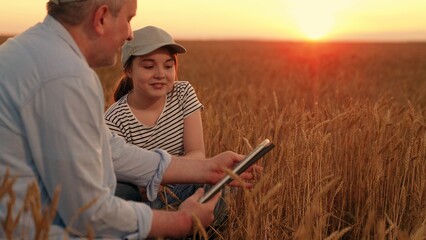 Father daughter growing wheat. Farmer, father daughter work together in wheat field. Dad raising...