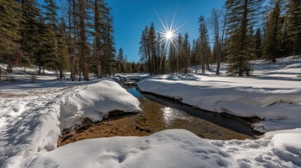 Winter wonderland crystal-clear stream in snowy pine forest nature photography daytime peaceful landscape