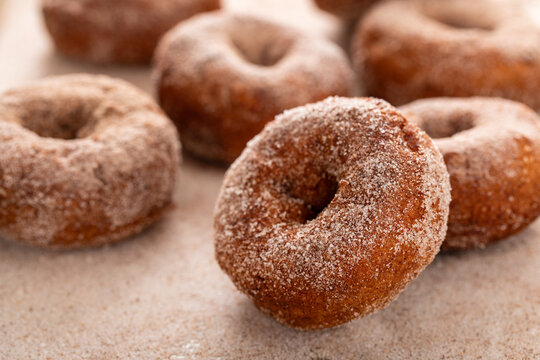 Apple cider or pumpkin spice donuts being covered in cinnamon sugar after baking