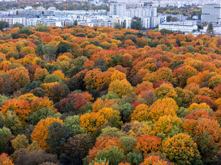 Warszawa, panorama miasta widoczna z okolicy Starych Powązek, jesień © hunter76