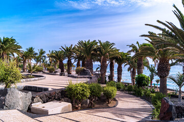 Seaside Pathway Among Palms Lanzarote © WildFrame