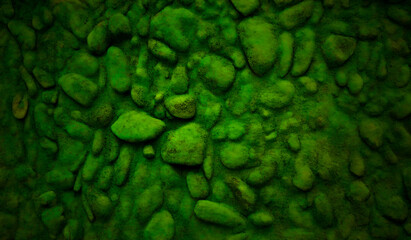 Obraz premium moss background