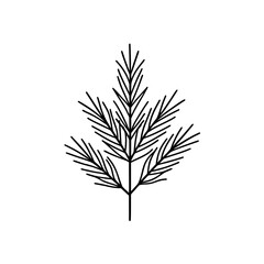 Simple line art of fir branch on transparent background