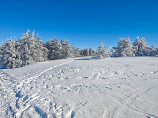 Landscape of Vitosha Mountain, Bulgaria