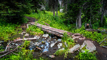 Hiking Trail to Tod Lake at Sun Peaks British Columbia