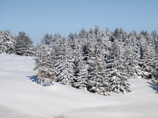 Landscape of Vitosha Mountain, Bulgaria