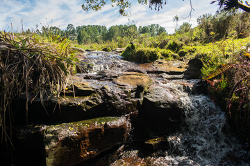 View of the head of a waterfall in an Araucaria moist forest in Sao Francisco de Paula, South of Brazil
