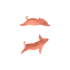 Piglets in two poses: little lying sleeping newborn pink piglet and cheerful playful pink piglet. Farm animals. Isolated watercolor illustration for children's encyclopedia.