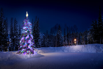 Christmas Tree at Sun Peaks British Columbia