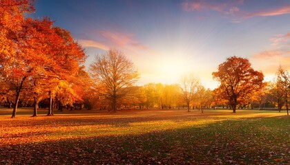 Autumn At Sunset Fall Landscape Trees And Orange Foliage In Park And Sunlight