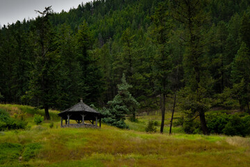 Scenic gazebo nestled amidst a lush forest backdrop. Peaceful outdoor scene.
