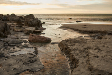 Coastal mud and rocks at low tide