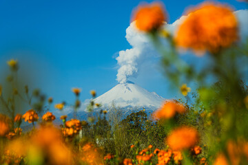 Popocatépetl Cempasúchil Flowers Snowy Peak Smoke Mexico Blue.
