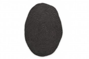 Fingerprint biometrics concept representing security, privacy, and personal identity with a digital touch recognition system