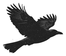 PNG Raven flying blackbird art silhouette.