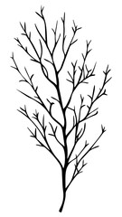Obraz premium PNG Minimalist black tree silhouette, transparent background